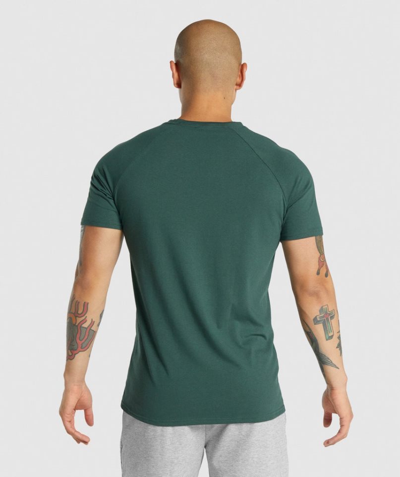 Men's Gymshark Critical 2.0 T-Shirts Dark Green | CA D81NA7